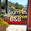 Lilium In B&B