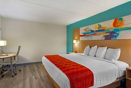 King Room with Sofa Bed - Non-Smoking