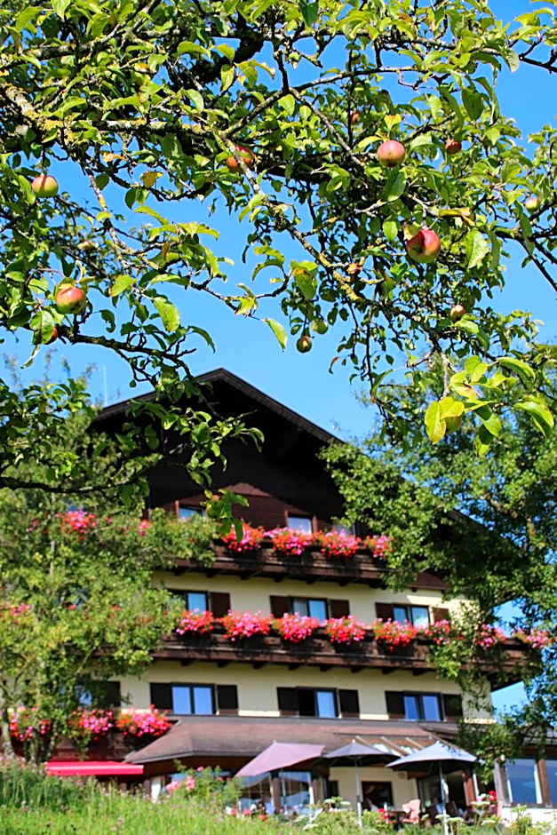 Hotel Haberl - Attersee