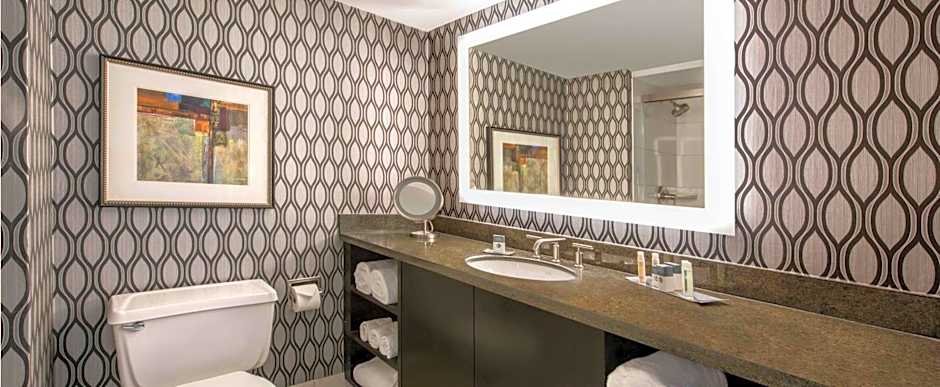 DoubleTree by Hilton Hotel Chicago Wood Dale - Elk Grove