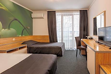 Double Room with Extra Bed (3 Adults)