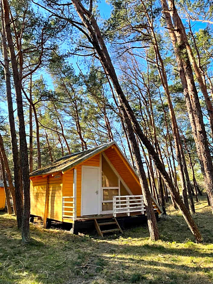 Energetikas • nameliai prie jūros