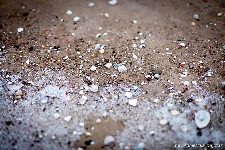 Domki Letniskowe Blue Sky 2