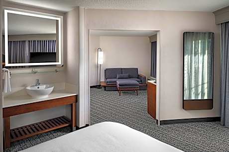 Suite, 1 King, Sofa bed