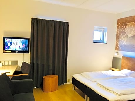 Double Room with Sofa Bed