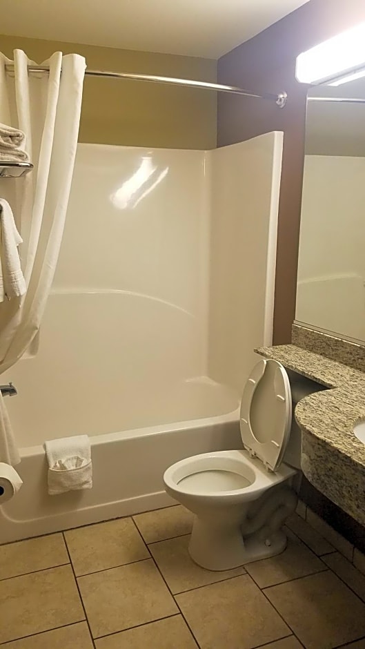 Microtel Inn & Suites by Wyndham