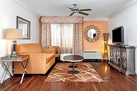 1 Bedroom Suite 1 King