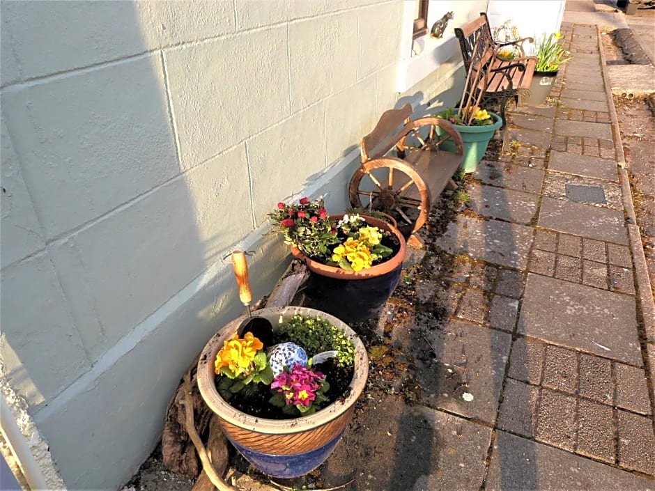 Song of the Sea, Selkie House