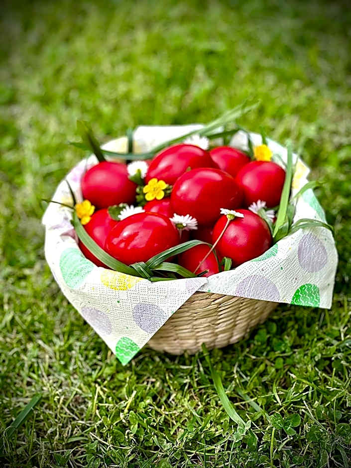 Casa de Lemn Arpasu de jos