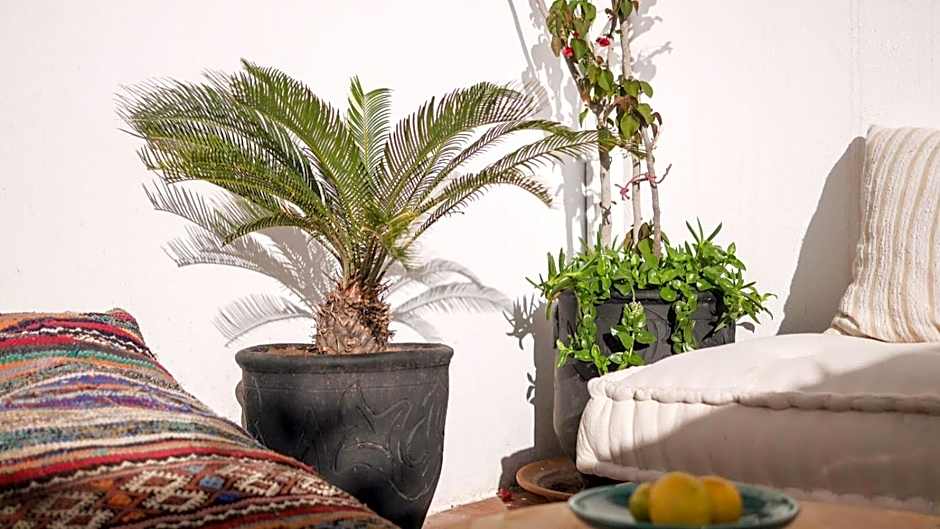 Boho 27 Hostel Marrakech