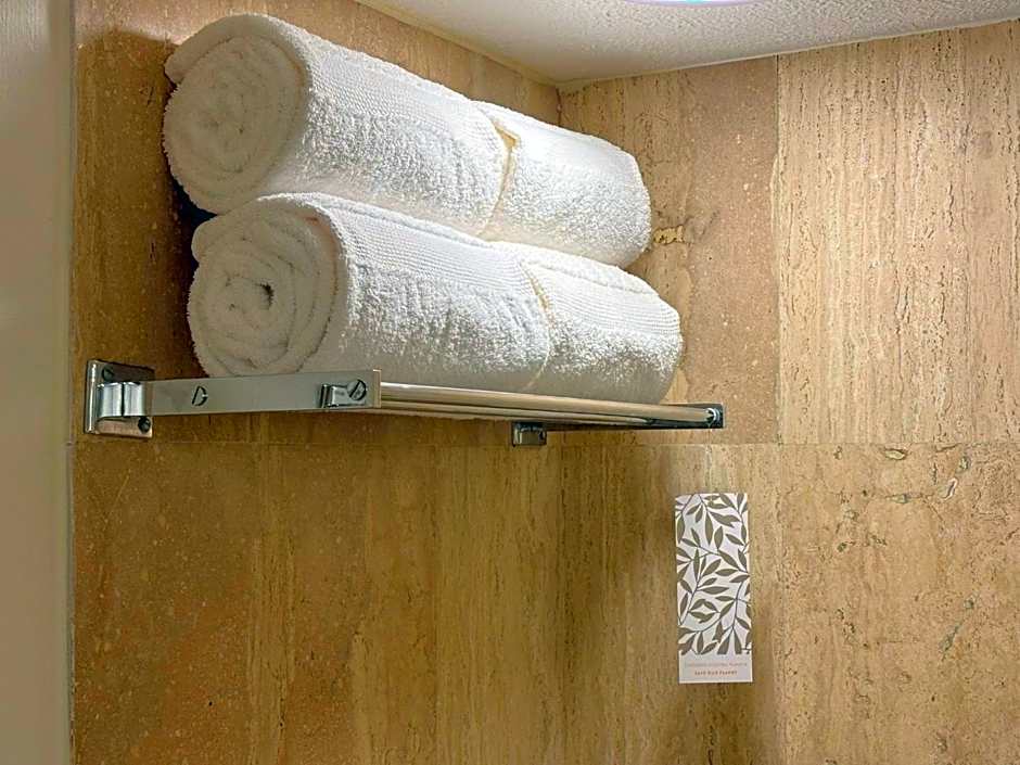 Fiesta Americana Reforma