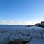 International Naples