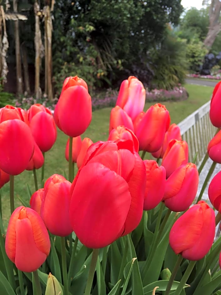 Wynberg House Bed & Breakfast Swansea