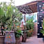 Riad Maizie