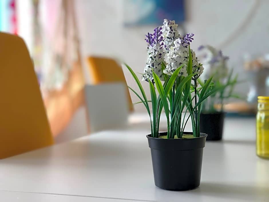 Fonte da Telha Beach Hostel