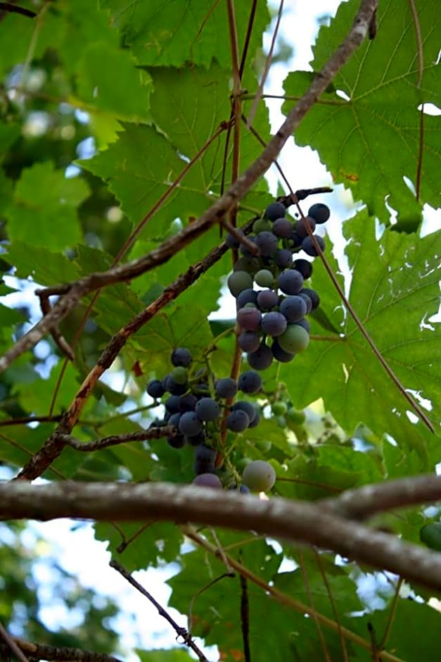 B&B Les Quatre Vents