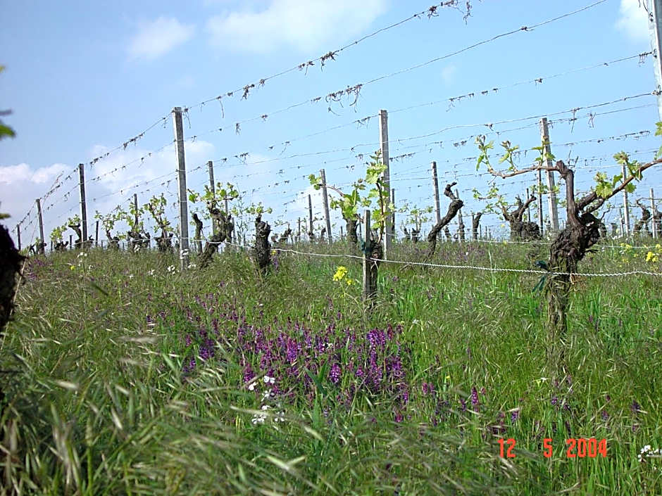 Akzent Hotel Am Bach