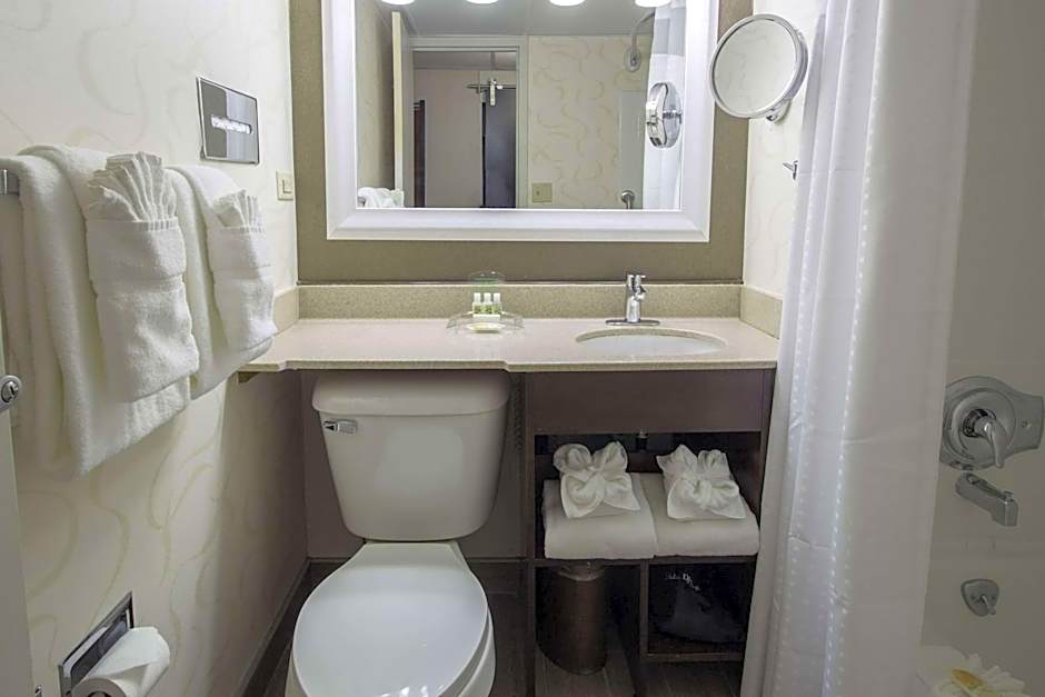 Wyndham Rochester Downtown