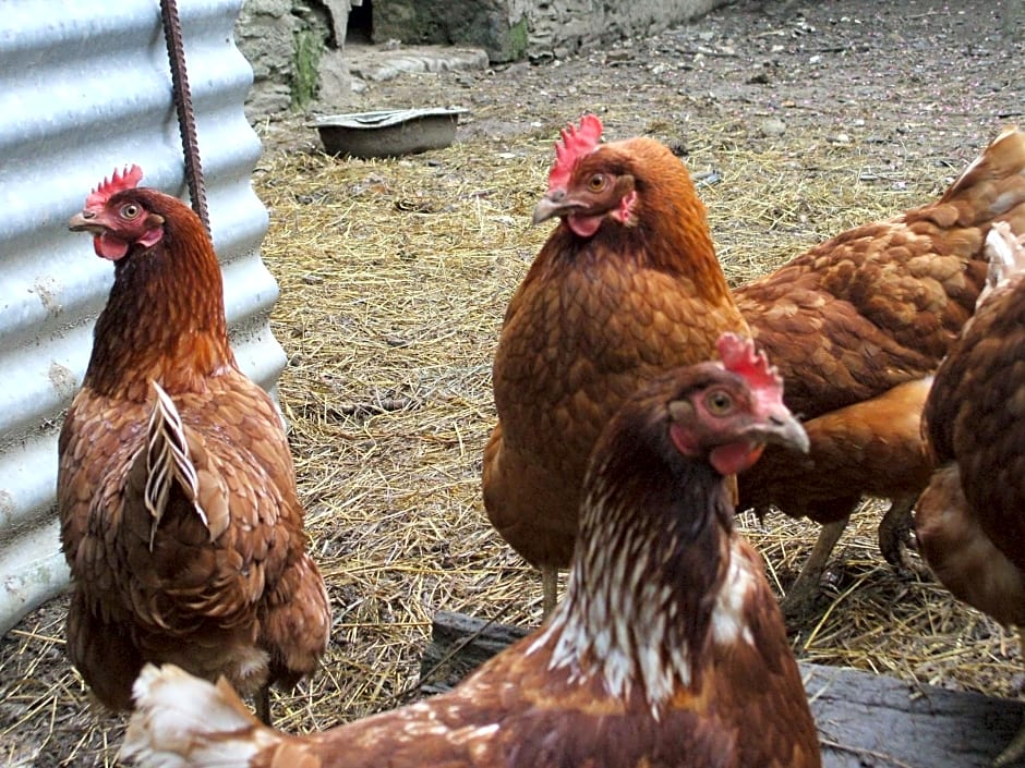 La Haye Gîtes et Chambre d'Hôtes