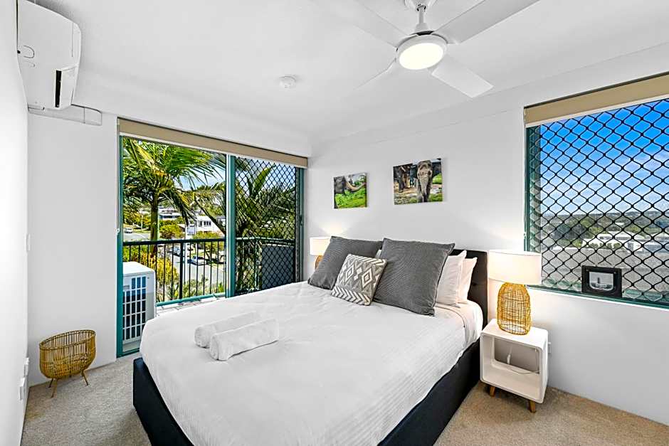 The Norfolks on Moffat Beach