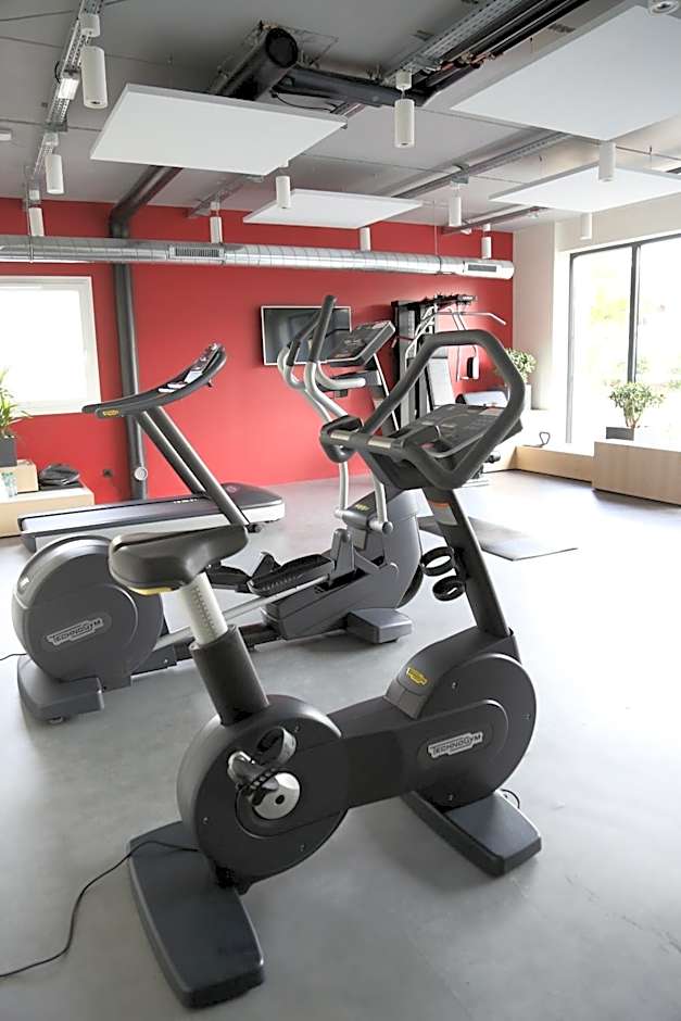 ibis Styles Bale-Mulhouse Aeroport