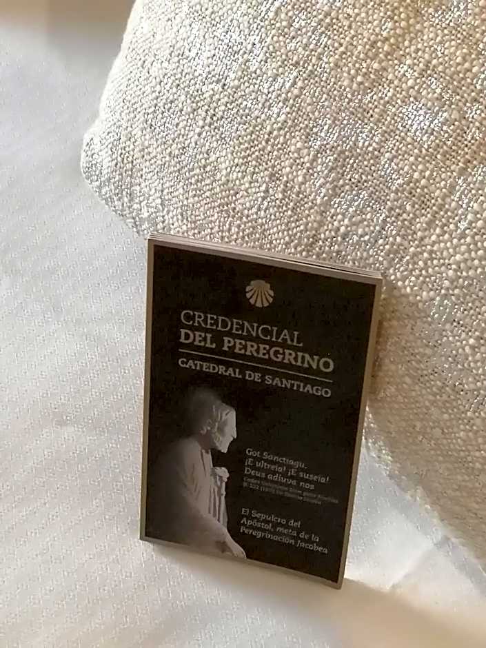 Duerming Villa De Sarria Hotel