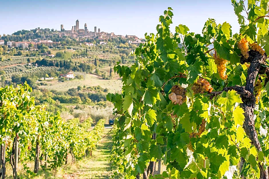 Agriturismo Il Casolare Di Bucciano