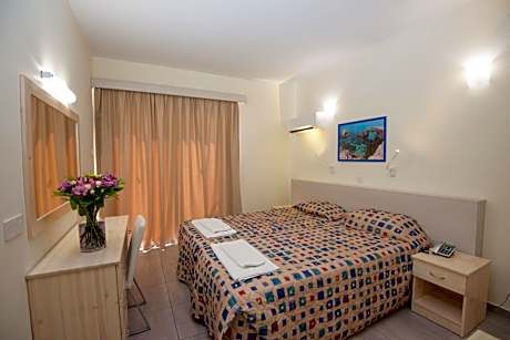 Deluxe One-Bedroom Apartment