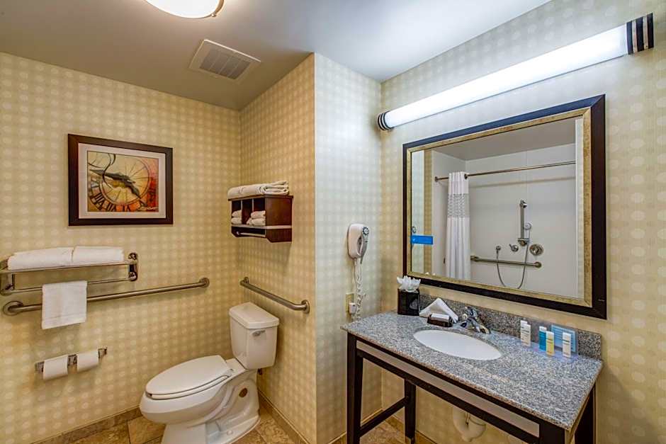 Hampton Inn By Hilton And Suites Detroit/Airport-Romulus