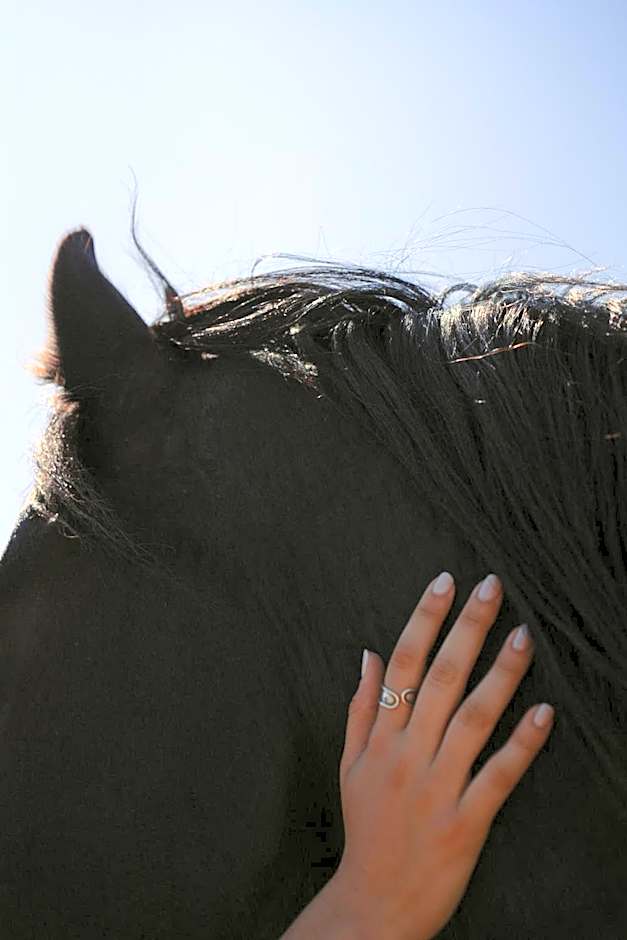 Black Rose Beach Suites