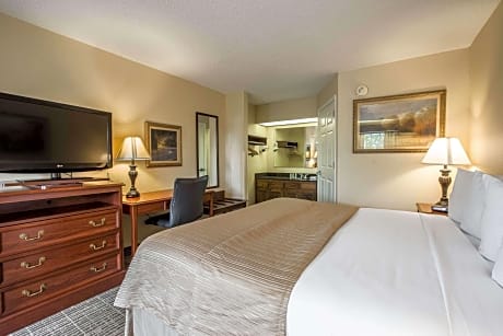 1 King Bed, Nonsmoking, Accessible