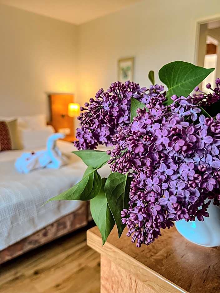 Insel-Hof Reichenau Hotel-garni