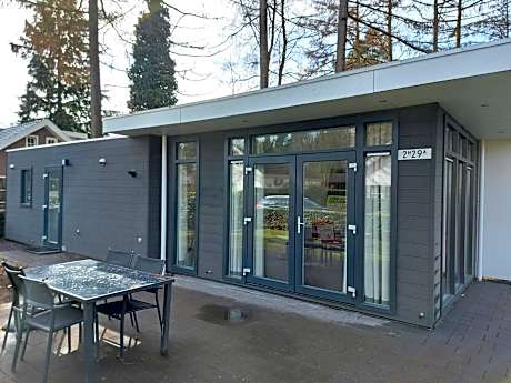 Pavilion 4