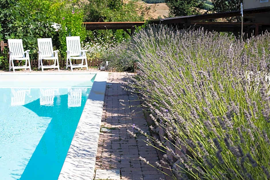 Casa OLIVA pool and relaxing