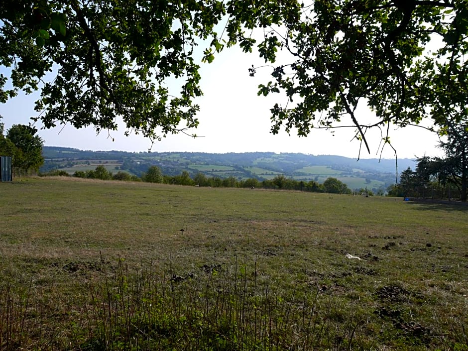 Les Miquelots