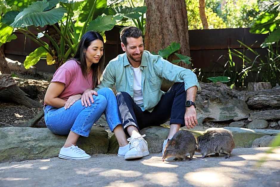 Wildlife Retreat at Taronga