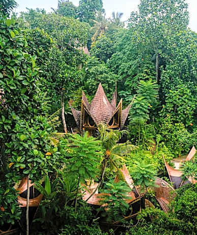 Suenyo Eco Retreat
