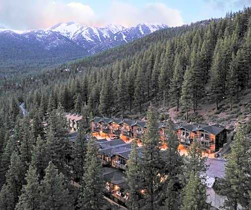 Tahoe Chaparral