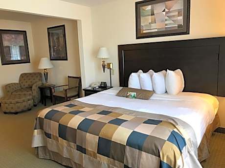 Handicapped, Non Smoking One King