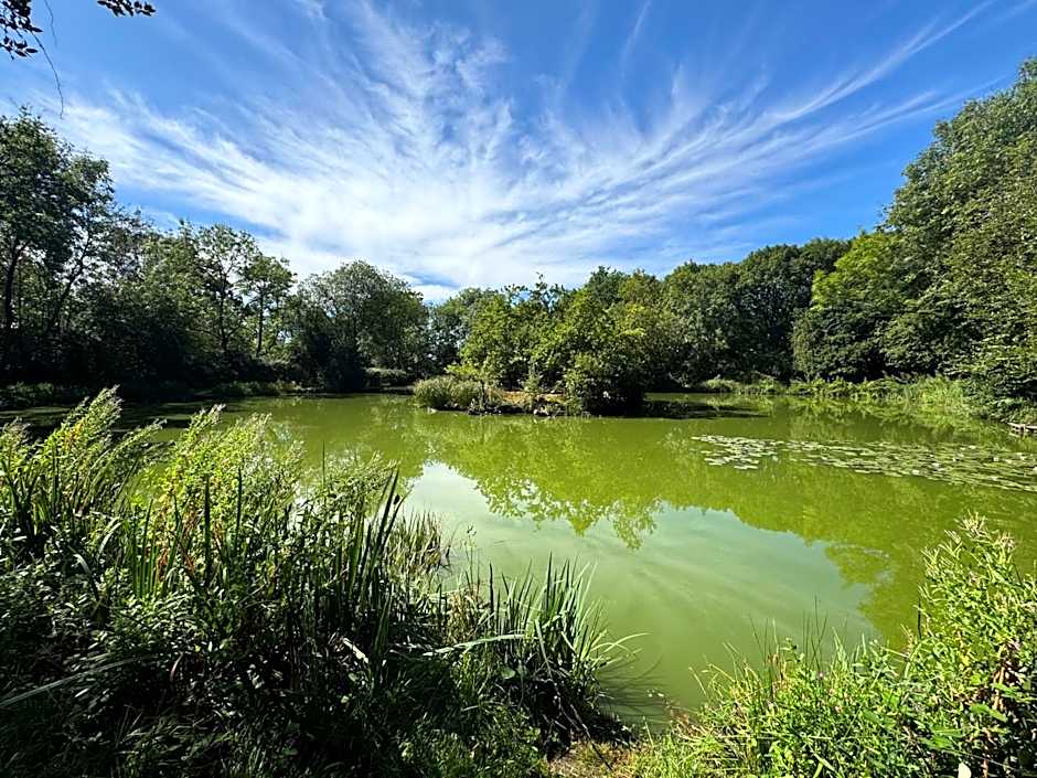 Grovefield House Hotel By Uno