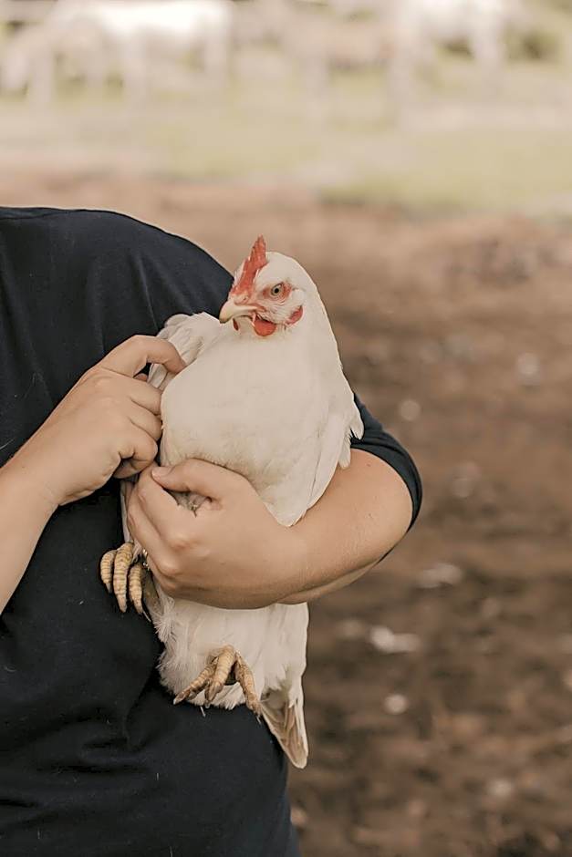 Qambathi Mountain Lodge