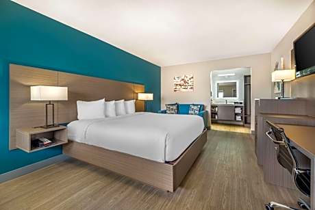 King Room with Roll-in Shower - Non-Smoking