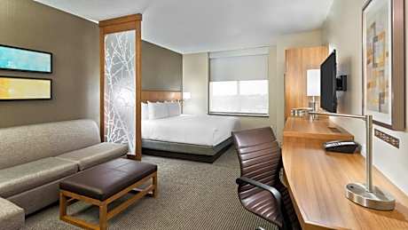 King Bed (plus sofa bed)