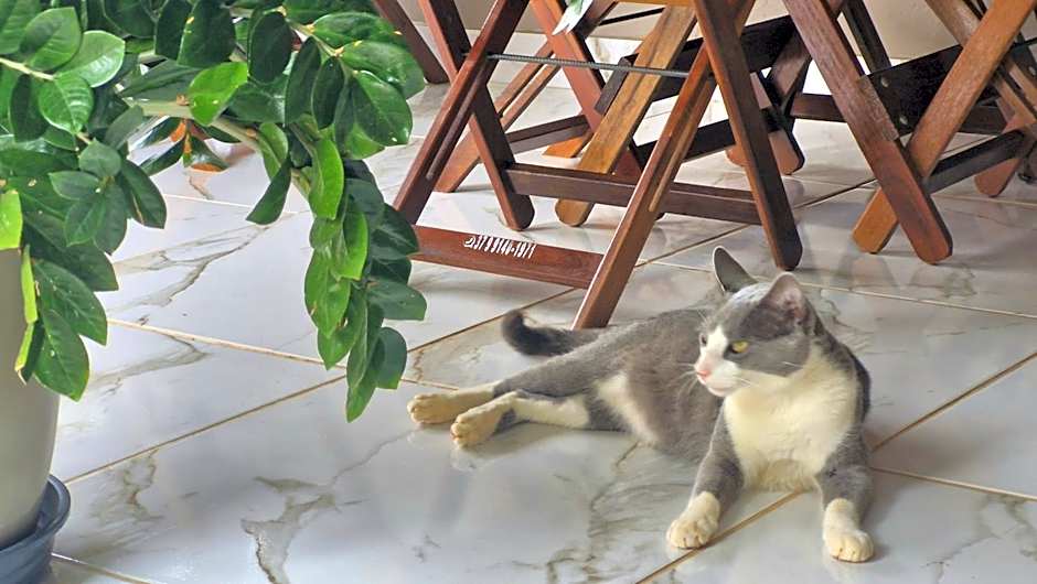 Pousada Canto das Samambaias