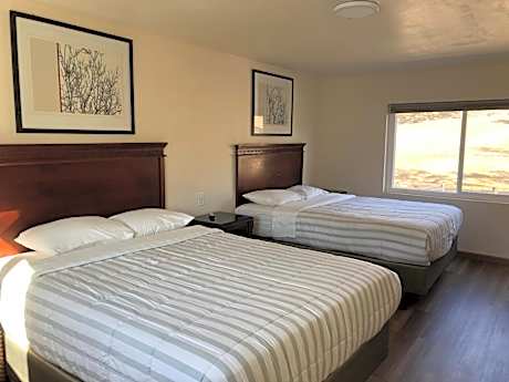 Deluxe One-Bedroom Apartment