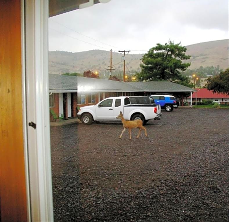 Golden West Motel