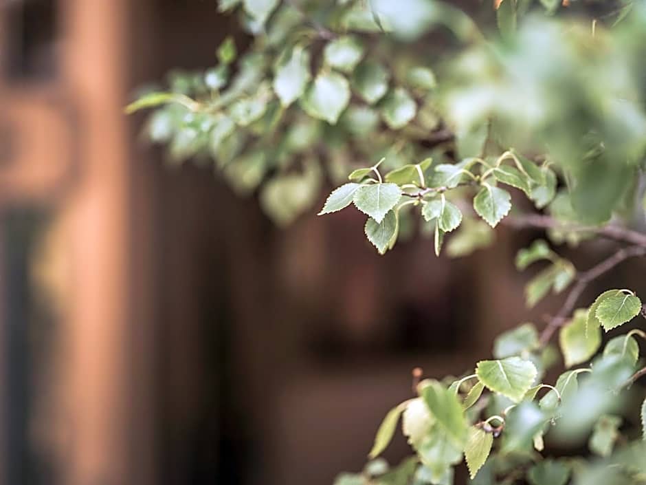 Apparthotel "Landhaus Veronika"