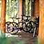 Forest Rise Chalets and Lodge