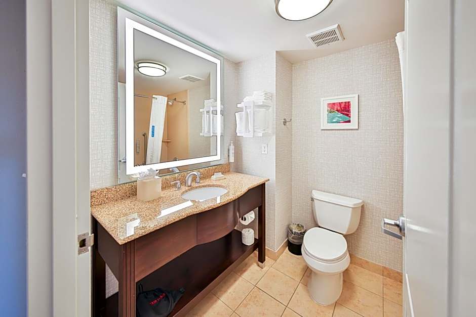 Hampton Inn By Hilton And Suites Seattle Kent