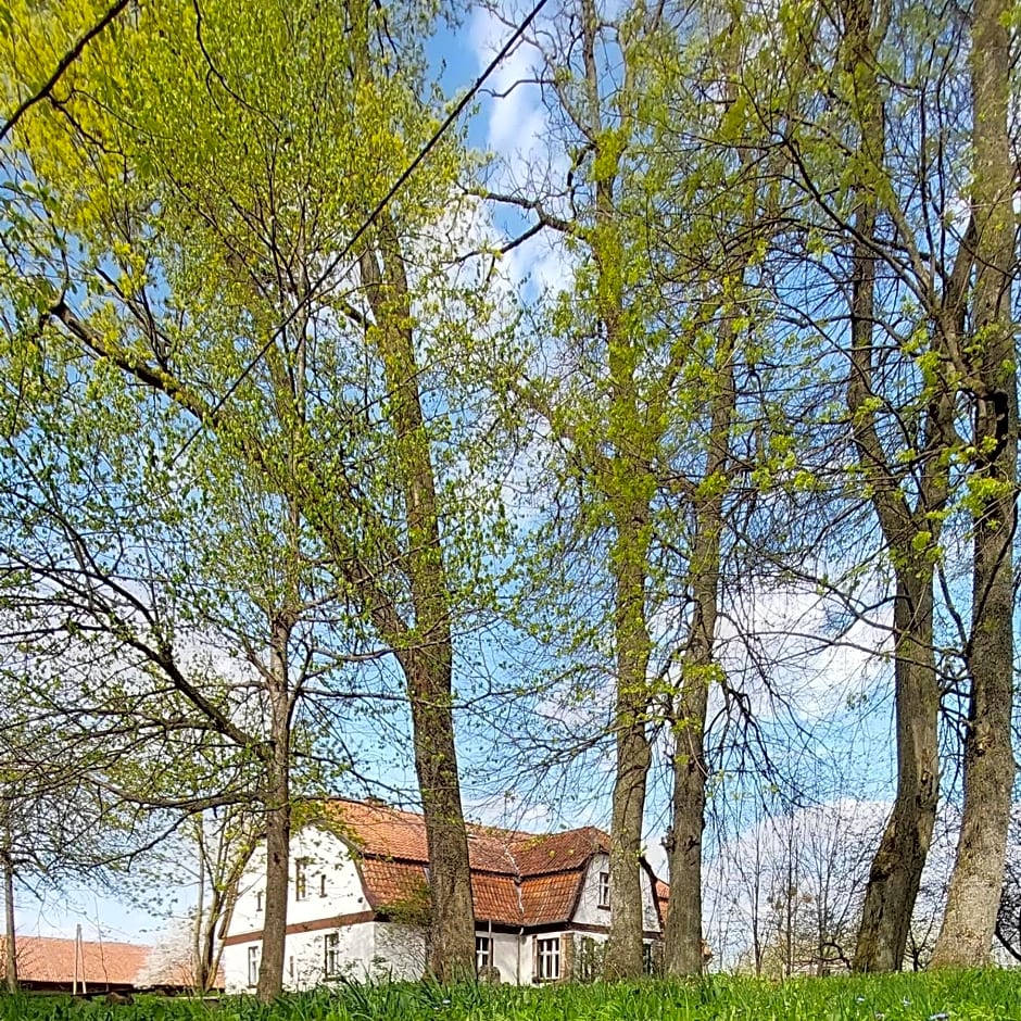 Dom na Mazurach Pilec